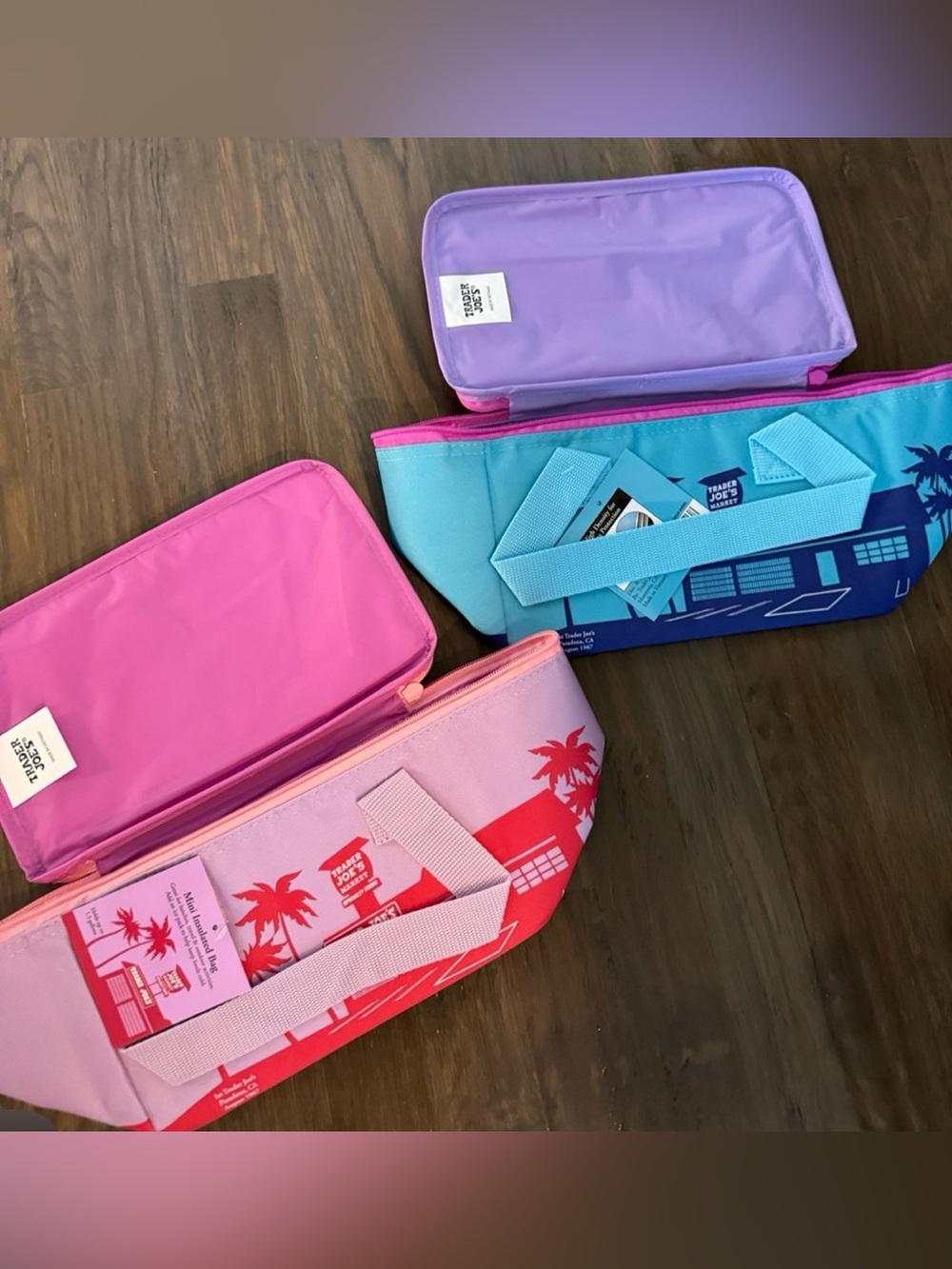 Bundle of 2 trader joes mini insulated bags mini size!